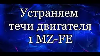 Oil leak. 1MZ-FE. We fix it.