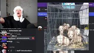 steak exposes Bella The Wolf..