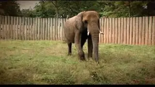 Maryland Zoo - 
