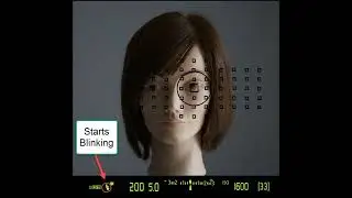 Flash Exposure Lock (In more detail)
