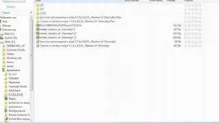 10. Путь к файлу.flv