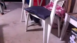 Blackie playing with dead bird!.3gp