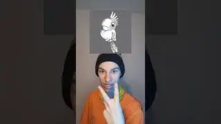КАК ЭТО РАБОТАЕТ?? 