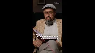 Какво представляват феромоните? #ДрСтаменов #MEDcast #БолницаНадежда #СексИрепродукция #секс