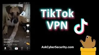 TikTok VPN - Best Streaming VPN for TikTok With TunnelBear VPN | AskCyberSecurity.com