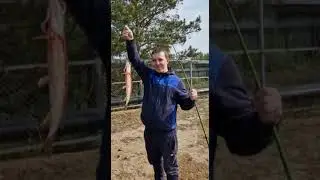 Щука на Азарт 2