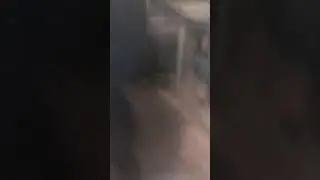 Папарацци(1 часть)