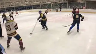 Tigers - Вердикт