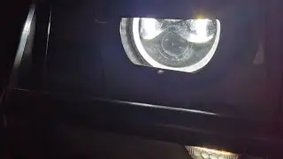 Тарусская кругосветка!🦊