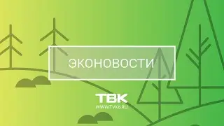 «Эконовости»: красноярские ТЭЦ усилят работу из-за обмеления Енисея. Как это отразится на экологии?