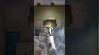 #conterstrikeglobaloffensive #csgo #мем #roflmemes #кот #кошки #коты