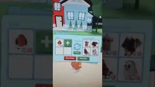 #roblox
