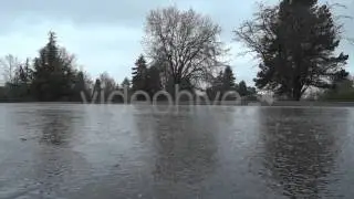 Rain - 34 - Country Road, Cars, Puddles, Trees