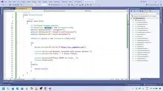 Browser Options in Selenium | Configure ChromeOptions in WebDriver