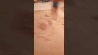 Глеб и алиса