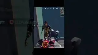 У меня одной проблемы со звуками,после обновы??? 😑 