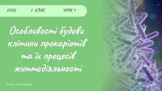 Особливості будови клітини прокаріотів та їх процесів життєдіяльності