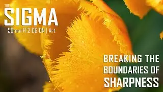 Sigma 50mm f/1.2 DG DN Art Lens - Breaking The Boundaries of Sharpness