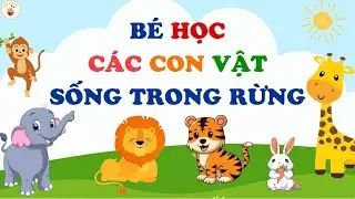 Dạy bé tập nói qua các con vật | Dạy bé các con vật sống trong rừng | Dạy bé học | BEE KIDS TV