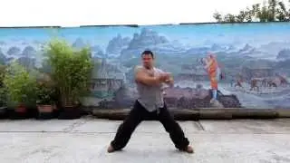 Shaolin Temple UK Promo