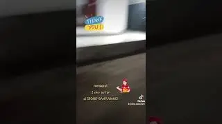 Mendarat 2 ekor JANTAN SENDURO di SRONO-BANYUWANGI 