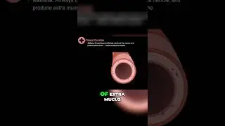 Bronchodilation and Beta-2 Receptors #shorts  #anatomy #science #lungs