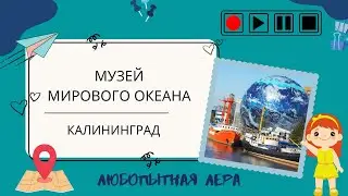 Музей мирового океана в Калининграде