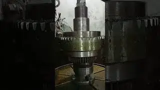 8 model50 teeth Gair video