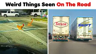 Hilarious Examples Of Weird Things Seen On The Road