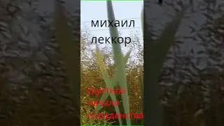 Аудиокнига "Грустное начало попаданства (Великий князь в СССР - 1) - Михаил Леккор"