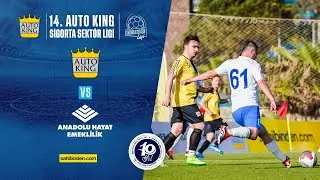 14. AUTOKING SİGORTA SEKTÖR LİGİ - B GRUBU AUTO KING - ANADOLU HAYAT EMEKLİLİK