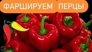 Фаршированный перец 🌶️  Лучший рецепт