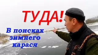 Карась в декабре