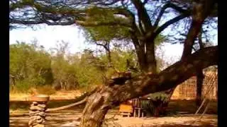 Amnoseli Porini Camp, Kenya