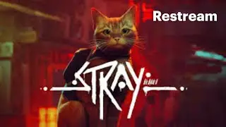 Stray Live 🐈 ❤️ | The Cutest Adventure Begins! - PT 1