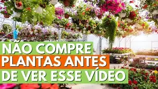 NÃO COMPRE PLANTAS ANTES DE VER ESSE VÍDEO! DICAS DE OURO PARA ACERTAR NA ESCOLHA DA ESPÉCIE IDEAL!