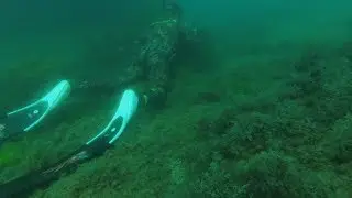 Горбыль. Зубарик. Подводная охота летом.