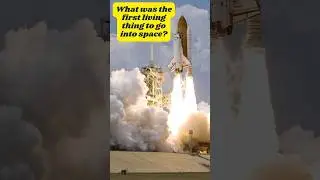 Day 2/10 of space facts  #space #facts #viral  #factoftheday #shorts