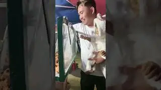 Ngtggffjjccj
