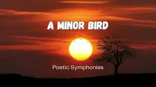 A Minor Bird by Robert Frost 🎵 Poetic Symphonies