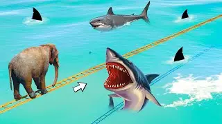Elephant and Animals Over Drive Ladder Bridge Challenge Shark 🦈🐘 GTA 5 - Elefante na ponte da escada
