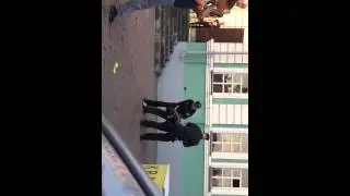 Каратека по Иркутски