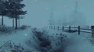 Freezing Wind Storm & Heavy Blizzard Sounds for Sleeping┇Loud Blowing Snow & Frosty Wind Ambience