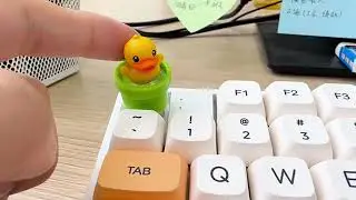 Quack!