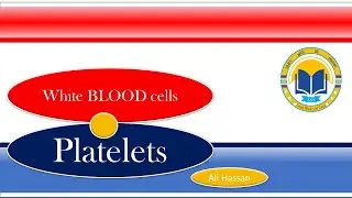 White Blood Cells & Platelets||Leukocytes & Thrombocytes||Pharmacy|| Exams MCQs||By Ali Hassan