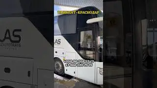 Ташкент Краснодар автобус краснодар ташкент,ташкент ростов автобус ростов ташкент