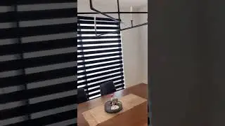 Motorized Dual Sheer Shades