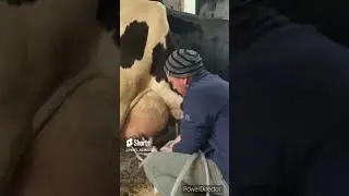#вреки #дача #топ #тренды #хайп #животные