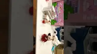🐰🐰🐰