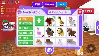 Roblox: GETTING A NEON DRAGON ON ADOPT ME!?